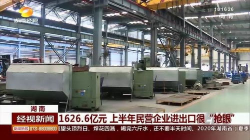 民營(yíng)企業(yè)業(yè)績(jī)搶眼 上半年進(jìn)出口總額突破1626.6億元，絲網(wǎng)制品表現(xiàn)突出